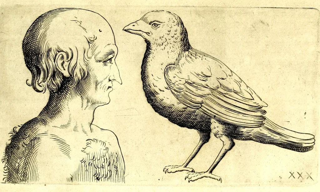 An illustration from Della fisonomia dell' huomo, 1610, leaf 259