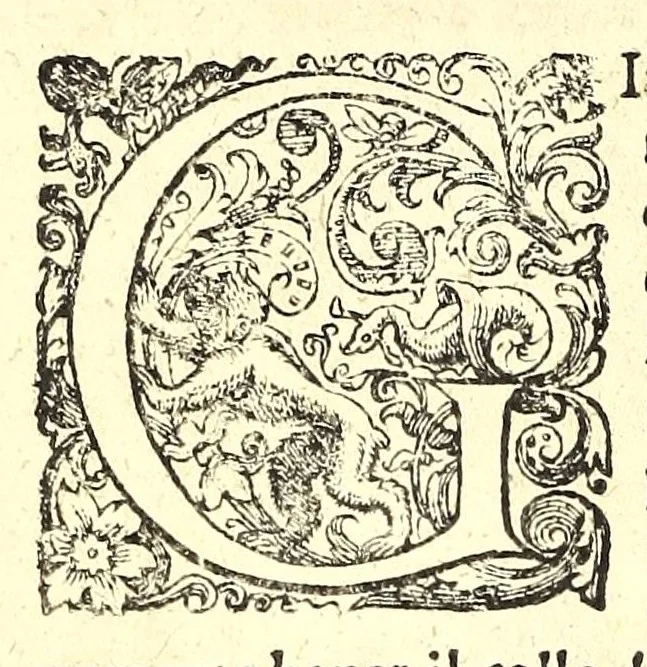 An illustration from Della fisonomia dell' huomo, 1610, leaf 320