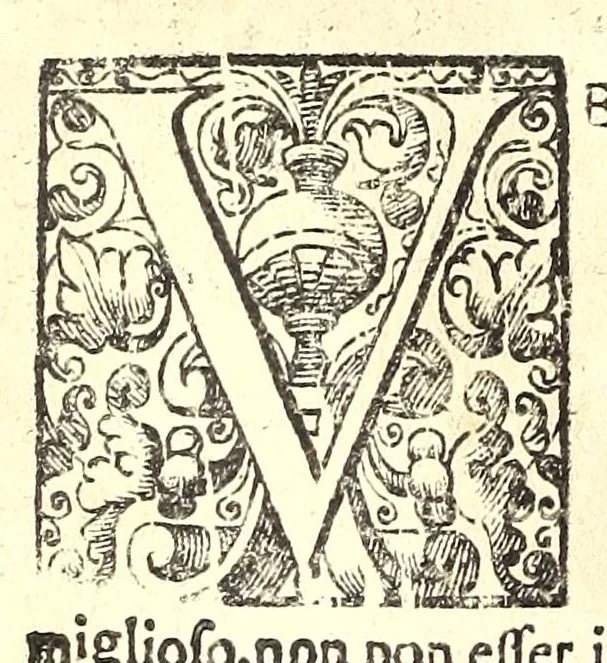 An illustration from Della fisonomia dell' huomo, 1610, leaf 336