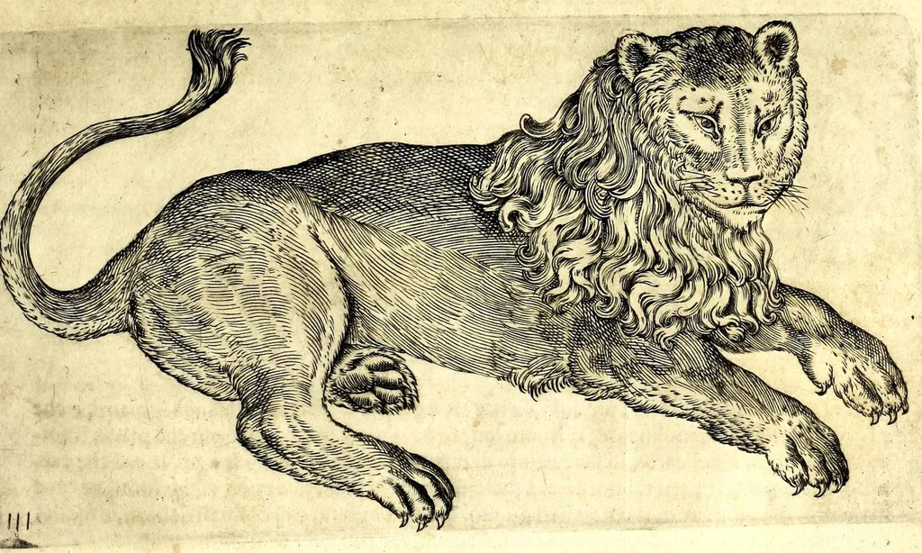 An illustration from Della fisonomia dell' huomo, 1610, leaf 35