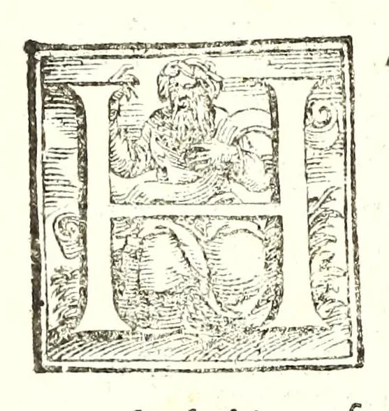 An illustration from Della fisonomia dell' huomo, 1610, leaf 358
