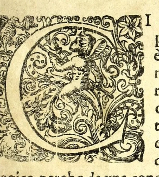 An illustration from Della fisonomia dell' huomo, 1610, leaf 61