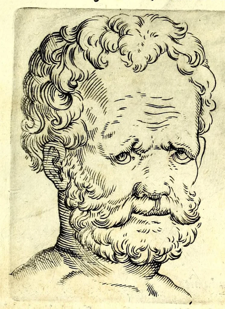 An illustration from Della fisonomia dell' huomo, 1610, leaf 87