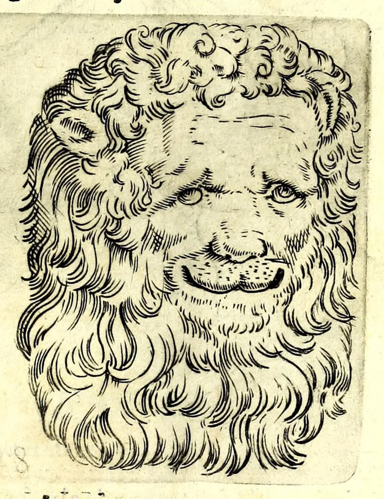 An illustration from Della fisonomia dell' huomo, 1610, leaf 87