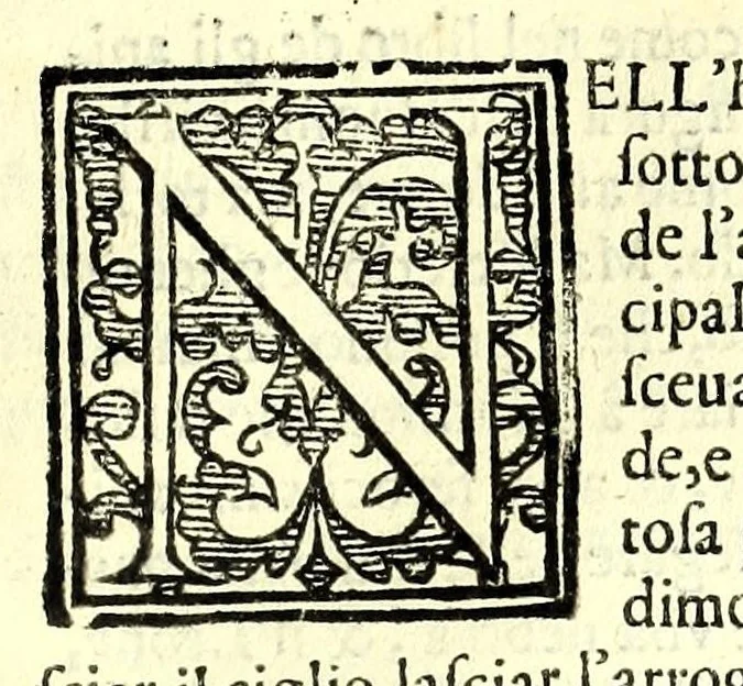 An illustration from Della fisonomia dell' huomo, 1610, leaf 93