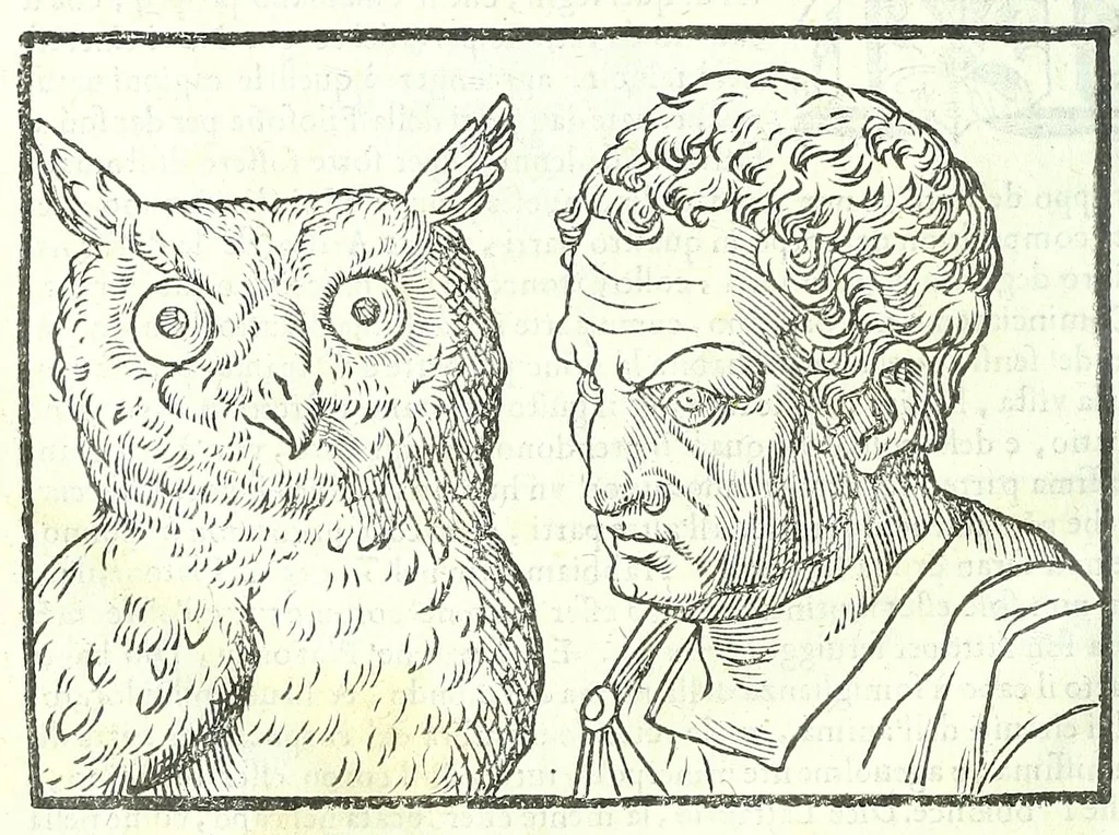 An illustration from Della fisonomia dell'huomo, 1613, leaf 102