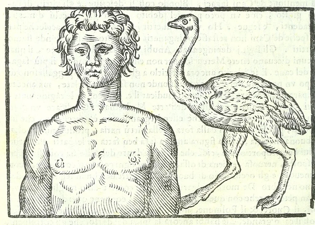 An illustration from Della fisonomia dell'huomo, 1613, leaf 106