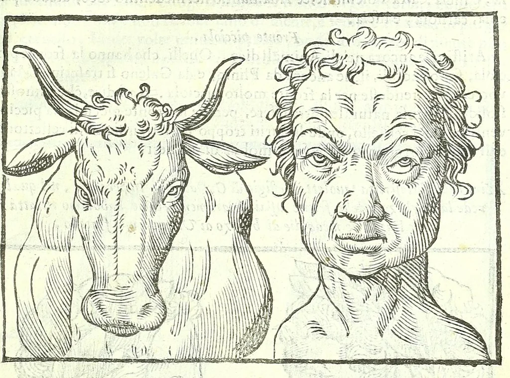 An illustration from Della fisonomia dell'huomo, 1613, leaf 117