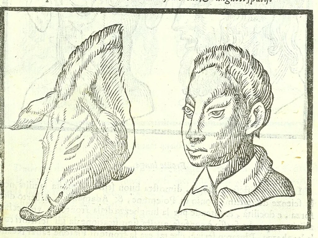 An illustration from Della fisonomia dell'huomo, 1613, leaf 119