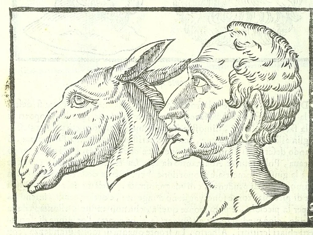 An illustration from Della fisonomia dell'huomo, 1613, leaf 122