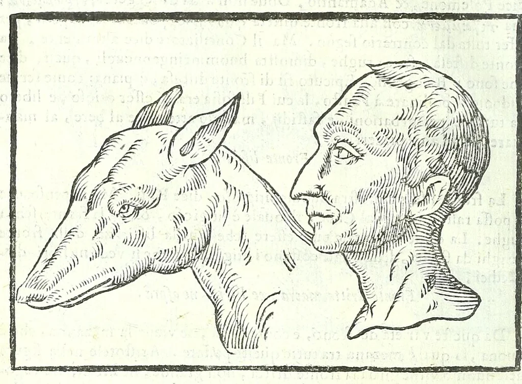An illustration from Della fisonomia dell'huomo, 1613, leaf 126