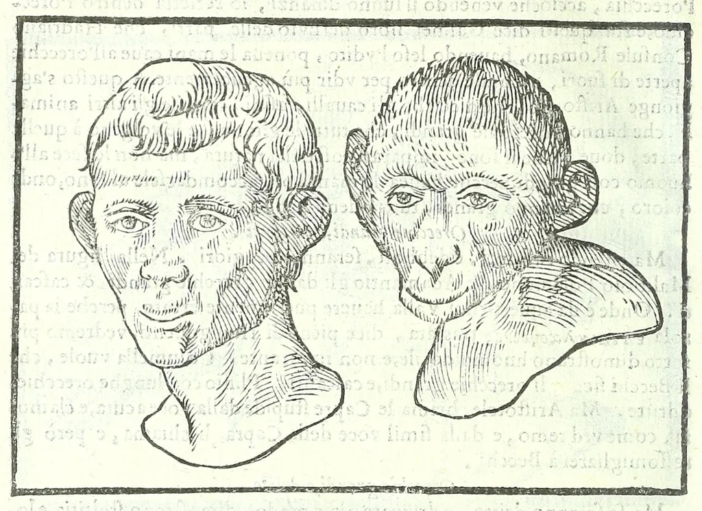 An illustration from Della fisonomia dell'huomo, 1613, leaf 134