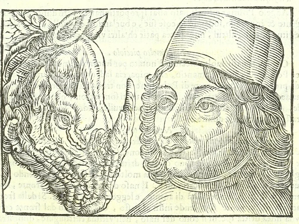 An illustration from Della fisonomia dell'huomo, 1613, leaf 137
