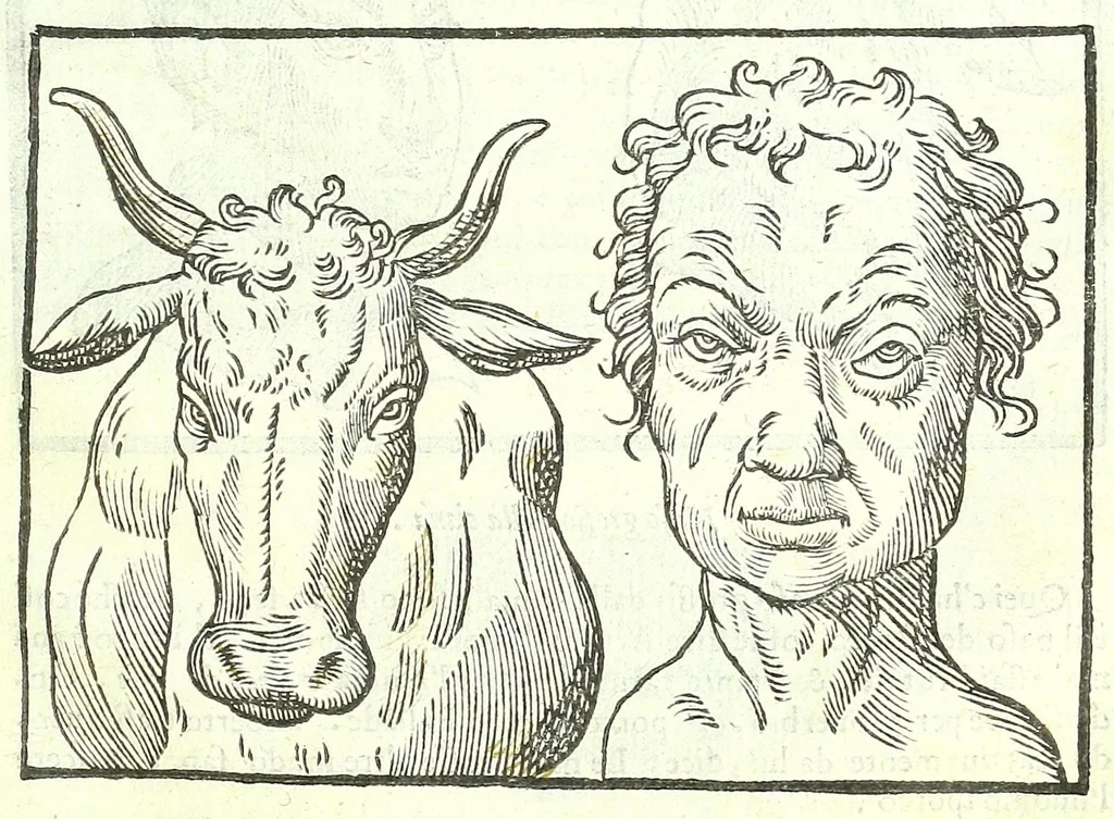 An illustration from Della fisonomia dell'huomo, 1613, leaf 145