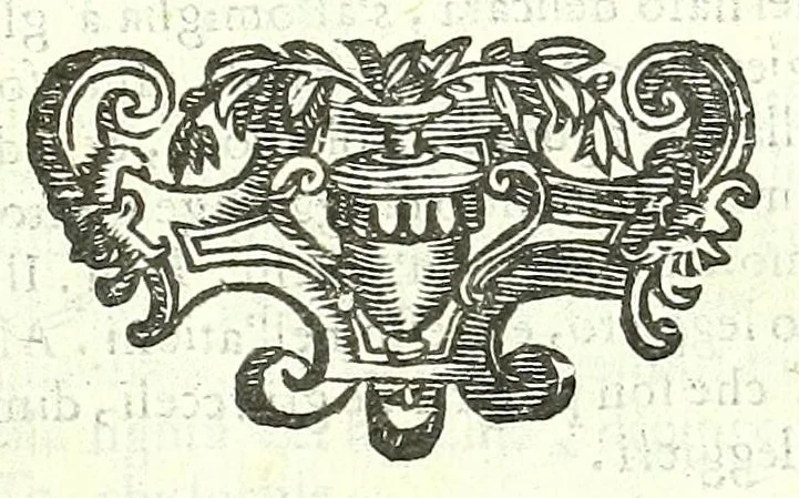 An illustration from Della fisonomia dell'huomo, 1613, leaf 147