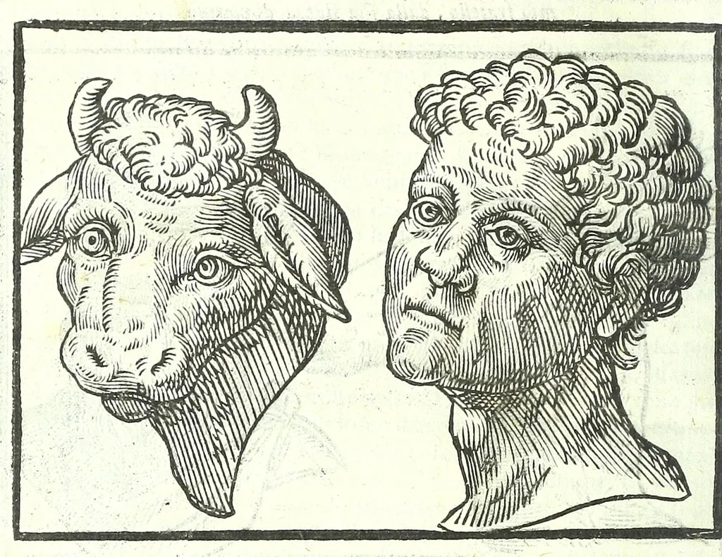 An illustration from Della fisonomia dell'huomo, 1613, leaf 154