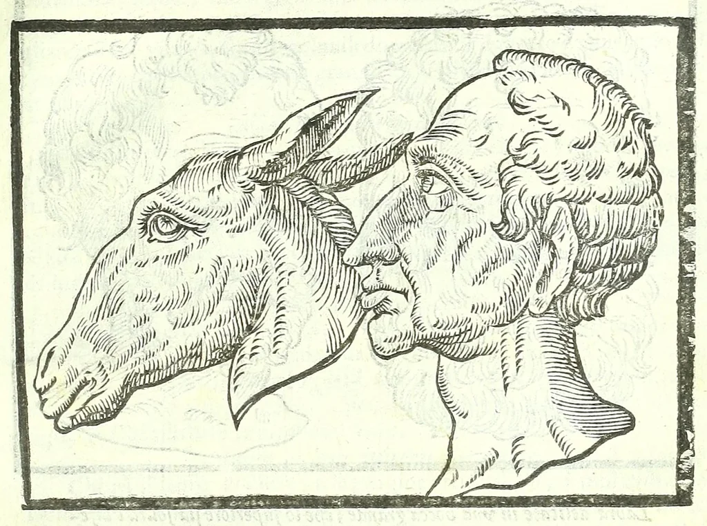 An illustration from Della fisonomia dell'huomo, 1613, leaf 171