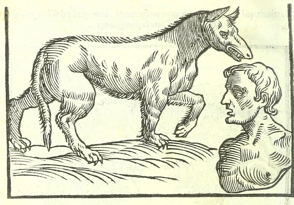 An illustration from Della fisonomia dell'huomo, 1613, leaf 178