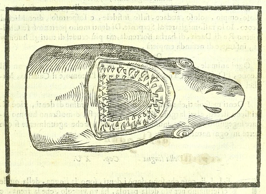 An illustration from Della fisonomia dell'huomo, 1613, leaf 181