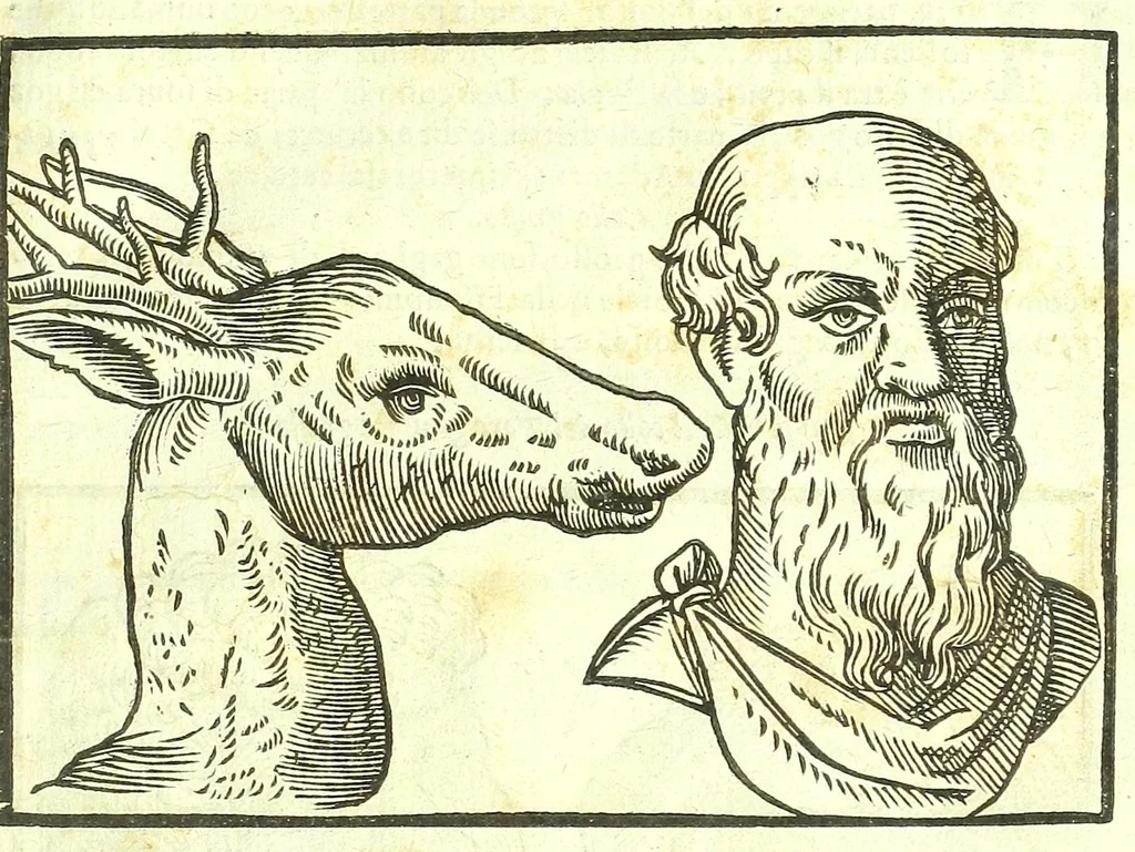 An illustration from Della fisonomia dell'huomo, 1613, leaf 203