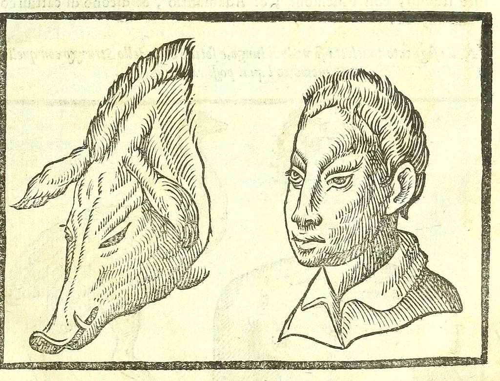 An illustration from Della fisonomia dell'huomo, 1613, leaf 205