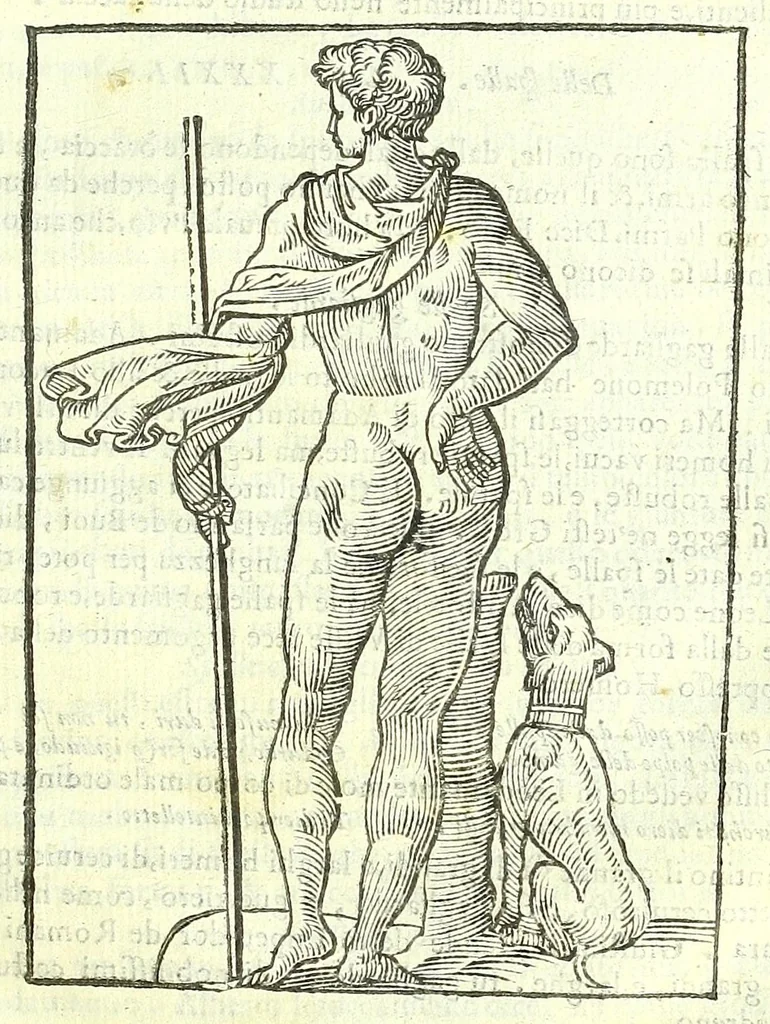An illustration from Della fisonomia dell'huomo, 1613, leaf 225