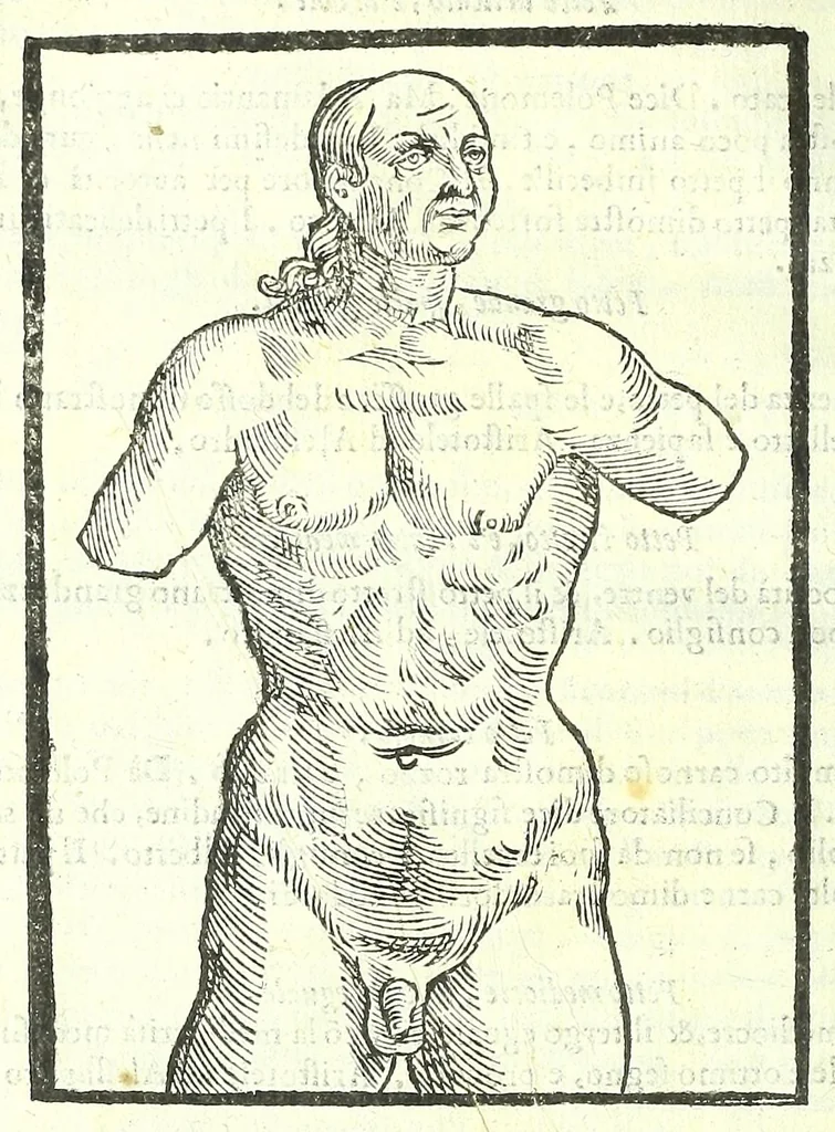 An illustration from Della fisonomia dell'huomo, 1613, leaf 230
