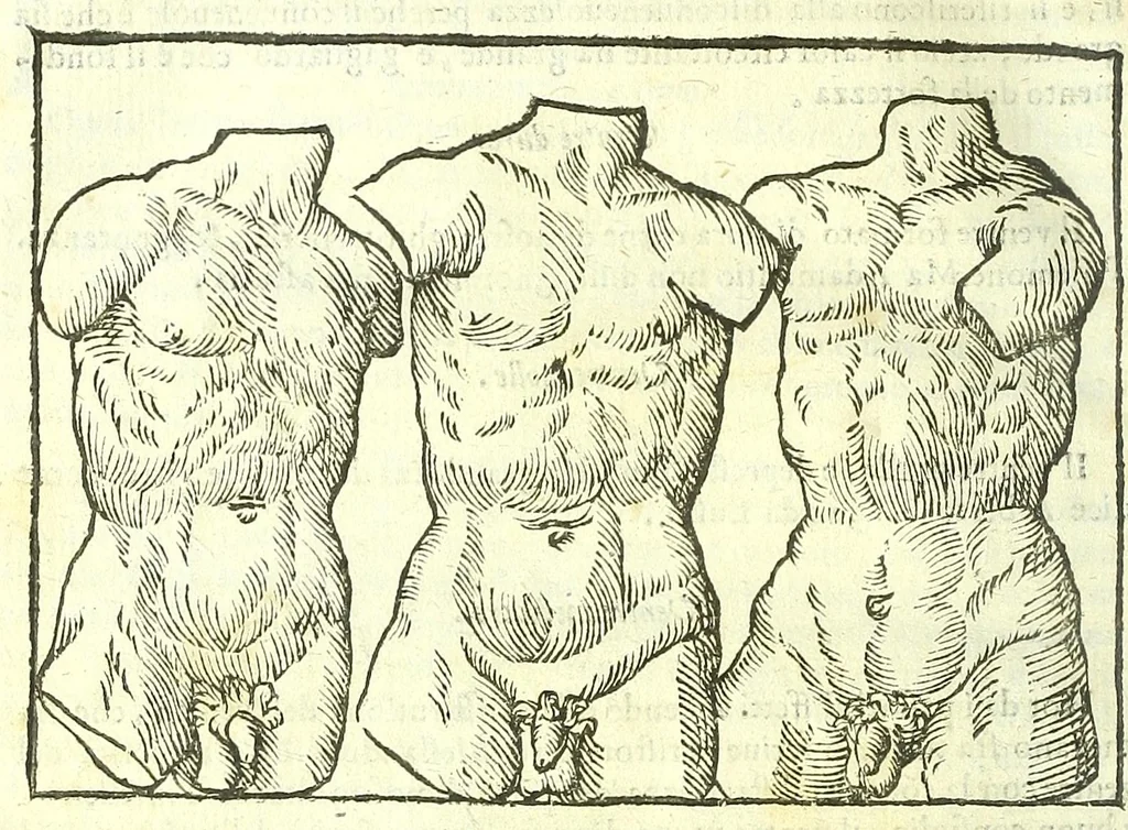 An illustration from Della fisonomia dell'huomo, 1613, leaf 234