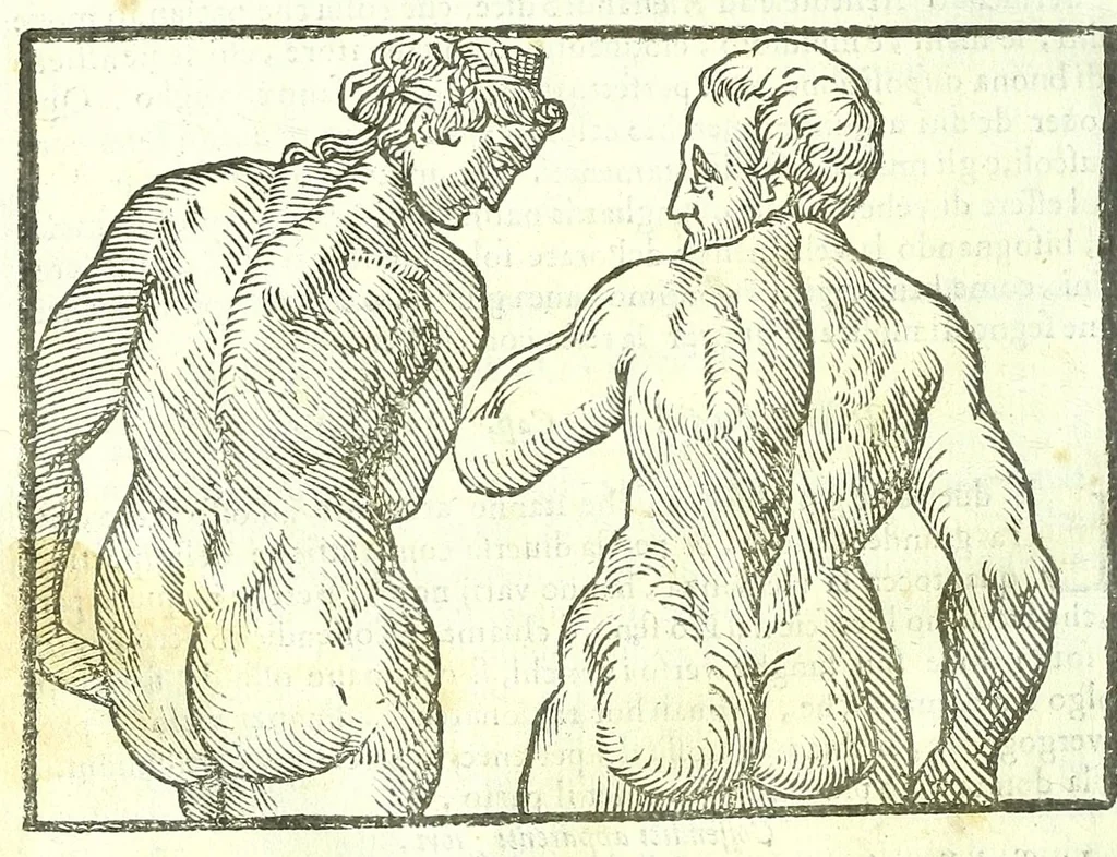 An illustration from Della fisonomia dell'huomo, 1613, leaf 248