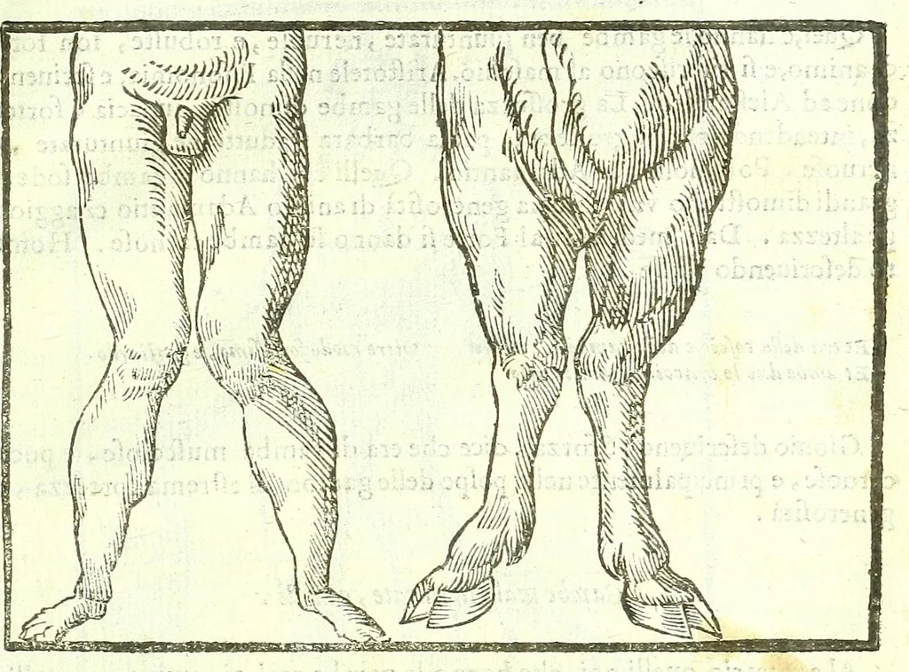 An illustration from Della fisonomia dell'huomo, 1613, leaf 253