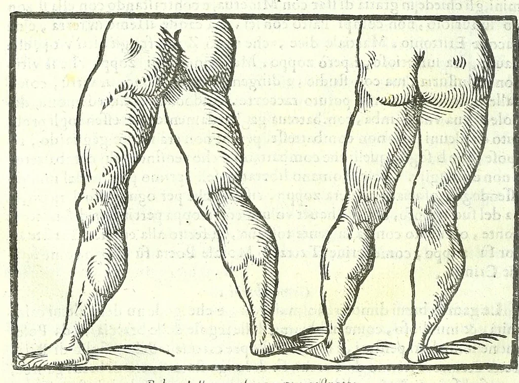 An illustration from Della fisonomia dell'huomo, 1613, leaf 258