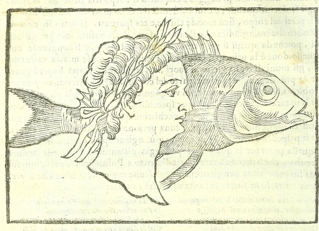 An illustration from Della fisonomia dell'huomo, 1613, leaf 274
