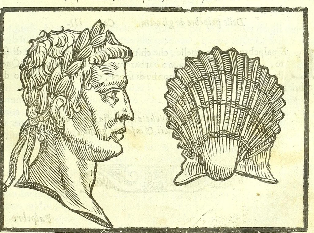 An illustration from Della fisonomia dell'huomo, 1613, leaf 279