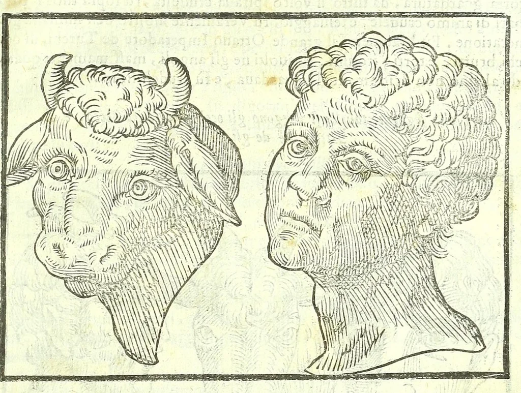 An illustration from Della fisonomia dell'huomo, 1613, leaf 329