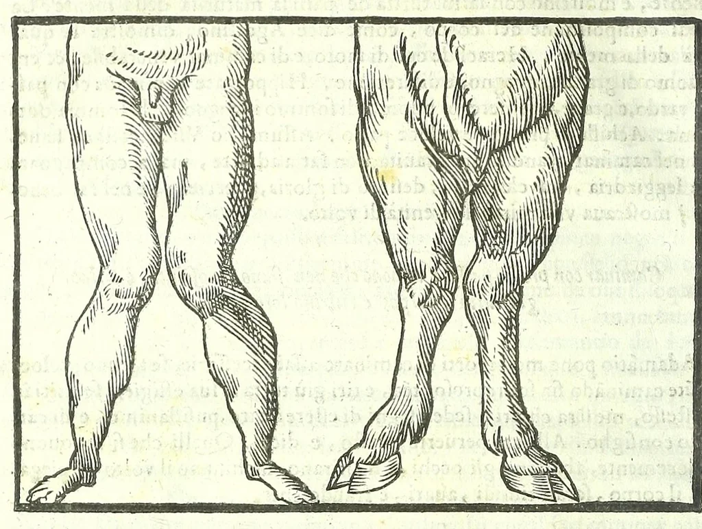 An illustration from Della fisonomia dell'huomo, 1613, leaf 376