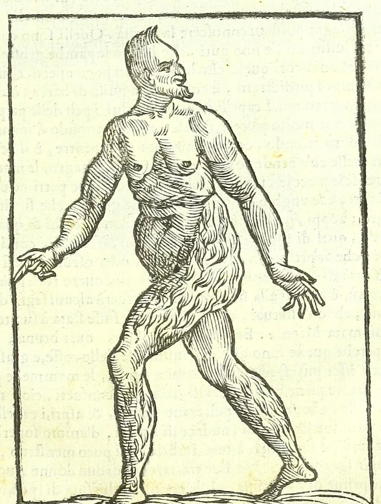 An illustration from Della fisonomia dell'huomo, 1613, leaf 439