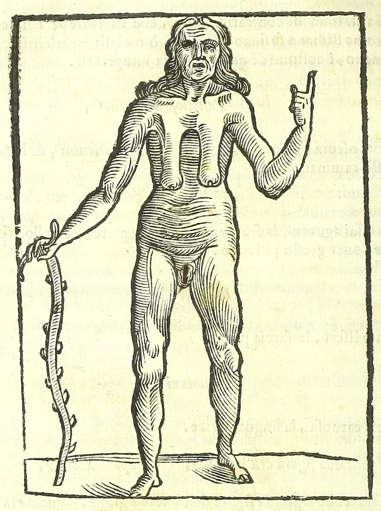 An illustration from Della fisonomia dell'huomo, 1613, leaf 456