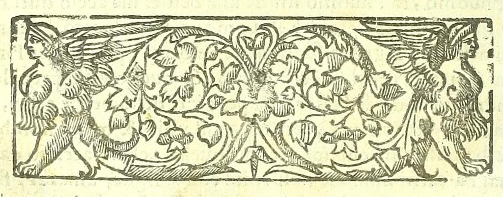 An illustration from Della fisonomia dell'huomo, 1613, leaf 462