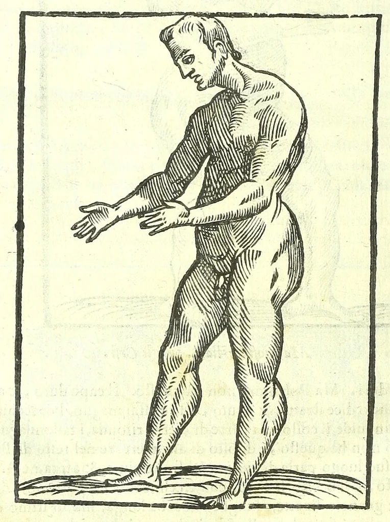 An illustration from Della fisonomia dell'huomo, 1613, leaf 464