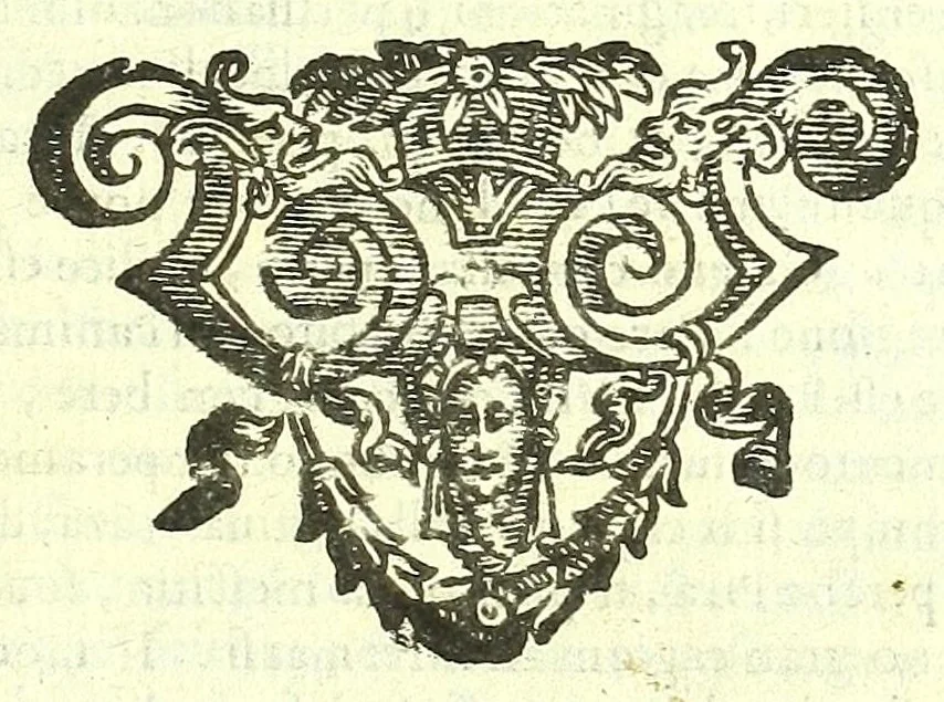 An illustration from Della fisonomia dell'huomo, 1613, leaf 469