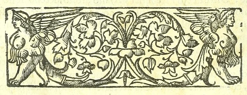 An illustration from Della fisonomia dell'huomo, 1613, leaf 496