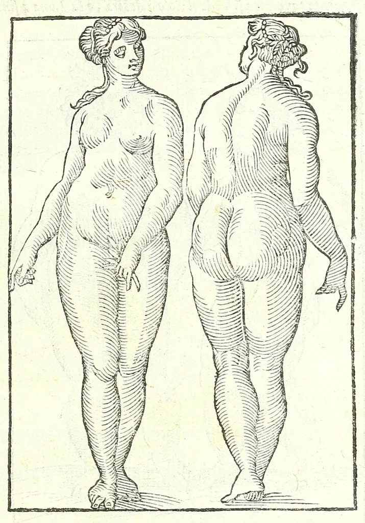 An illustration from Della fisonomia dell'huomo, 1613, leaf 75