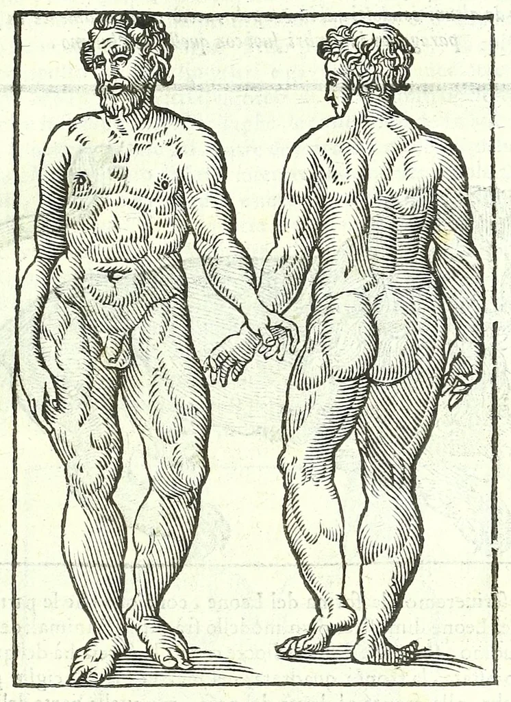 An illustration from Della fisonomia dell'huomo, 1613, leaf 87