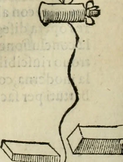 An illustration from Della fortificatione delle città, 1564, leaf 205