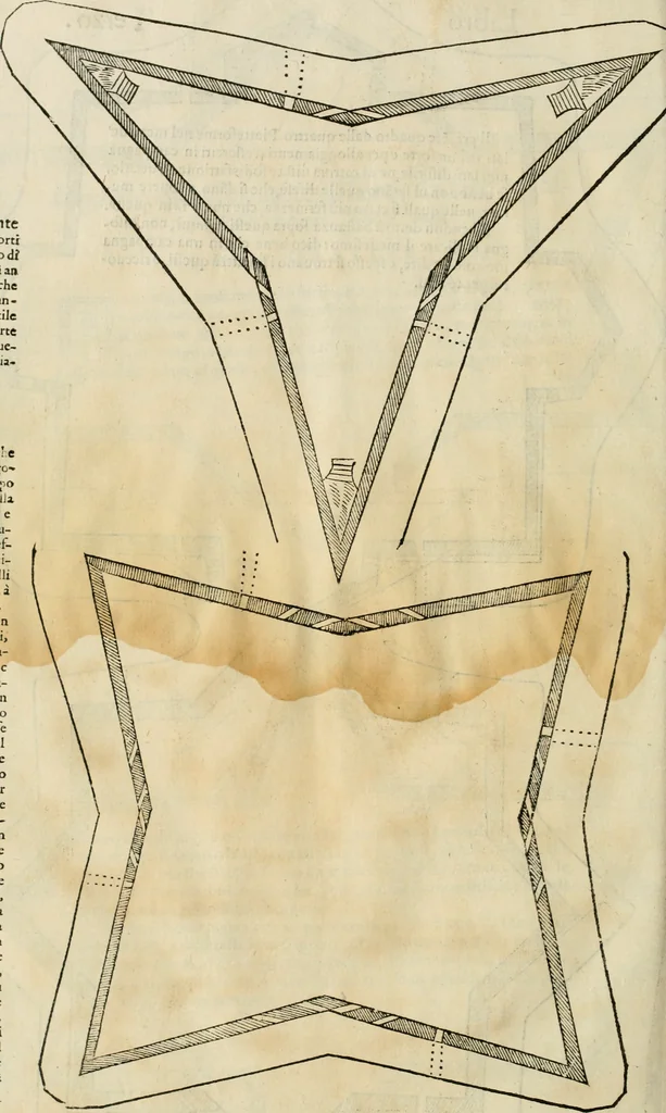An illustration from Della fortificatione delle città, 1564, leaf 221