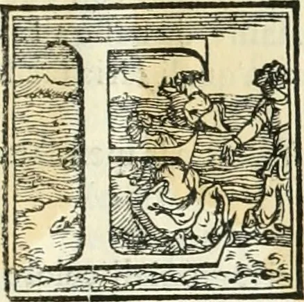 An illustration from Della fortificatione delle città, 1564, leaf 238