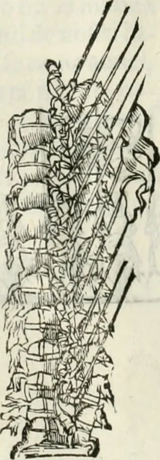 An illustration from Della fortificatione delle città, 1564, leaf 253