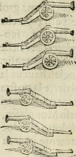 An illustration from Della fortificatione delle città, 1564, leaf 265