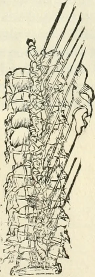 An illustration from Della fortificatione delle città, 1564, leaf 278