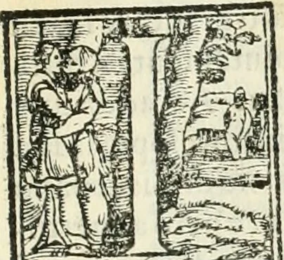An illustration from Della fortificatione delle città, 1564, leaf 280